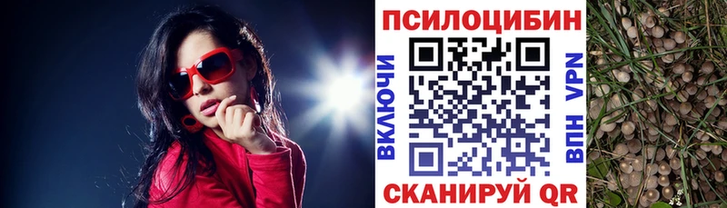 ОМГ ОМГ tor  Усинск  Псилоцибиновые грибы Cubensis 